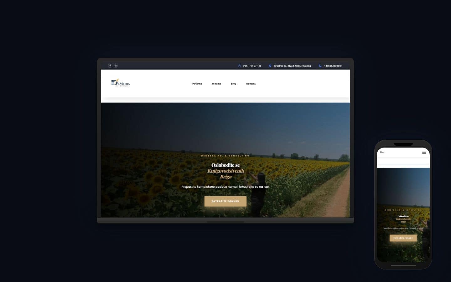 DeMetra Ag. & Consulting — Web + Meta i Google oglasi