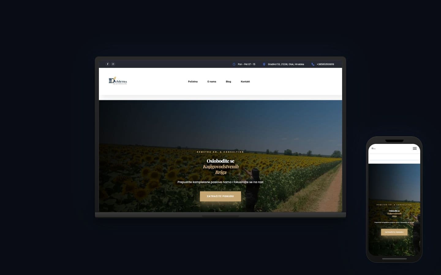 DeMetra Ag. & Consulting — Web + Meta Ads + Google